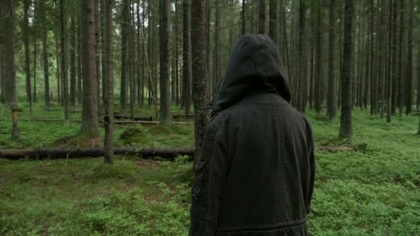 Joven chica caminando en el bosque un descalzo — Vídeos de Stock