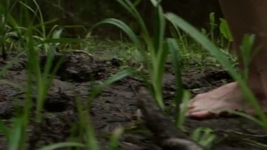 kız çıplak ayakla bir pelerin ormanda yürür.