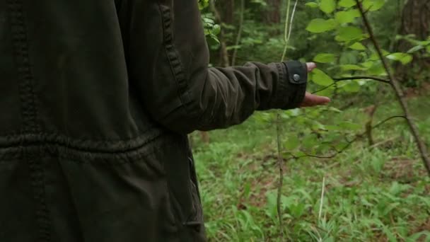 Junges Mädchen, das barfuß durch den Wald geht — Stockvideo