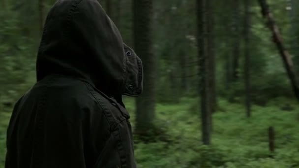 Молода дівчина ходить в лісі одна босоніжка — стокове відео