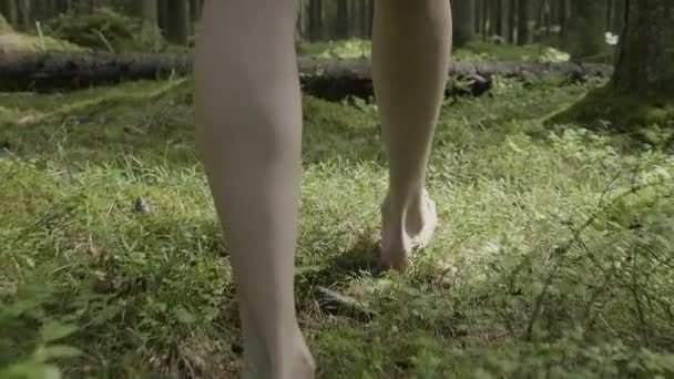 Girl walks barefoot in the woods in a cloak — Stock Video