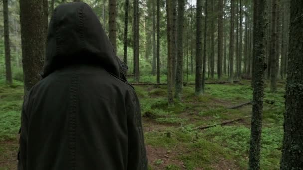 Joven chica caminando en el bosque un descalzo — Vídeos de Stock