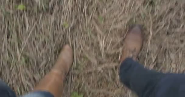 Piernas en zapatos marrones hombres y mujeres caminando sobre la hierba . — Vídeo de stock