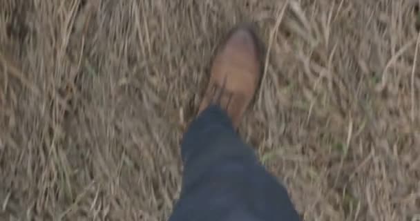 Nohy v hnědých botách muži a ženy chodící po trávě. — Stock video