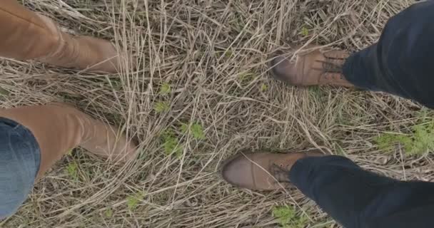 Pernas em sapatos marrons homens e mulheres andando na grama . — Vídeo de Stock