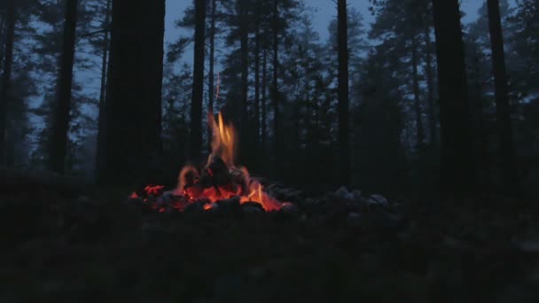 Brand met hout branden — Stockvideo