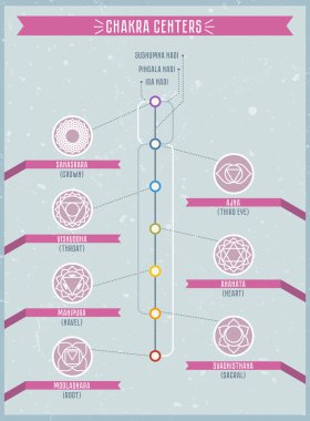Çakralar ve nadi cannals infographics
