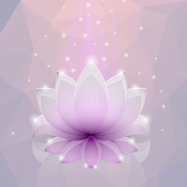 Pembe parlak lotus