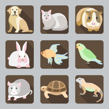 Düz tasarım karikatür tarzı çok renkli şık afişler evcil hayvan ev hayvanları siluetleri ile Icon set.