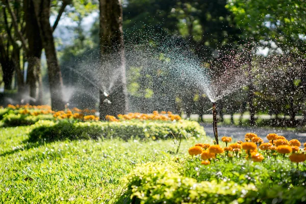 Tay üniversitede makarası