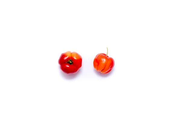 Red Barbados cherry — Stok Foto