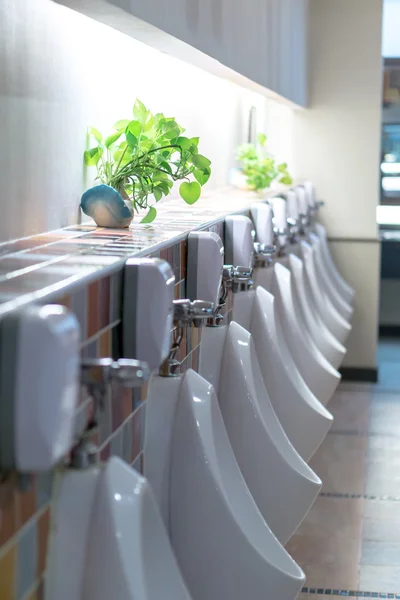 Groen in de mannen wc — Stockfoto