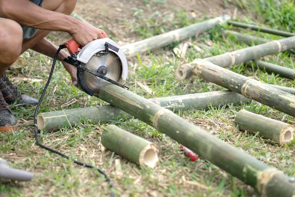 Carpintero tailandés de bambú — Foto de Stock