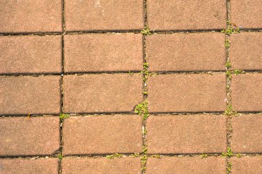 Kırmızı tuğla arkaplan