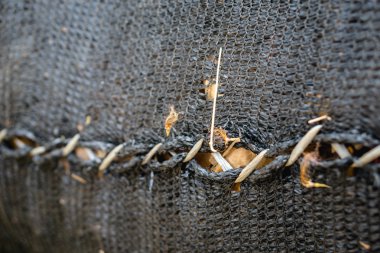 Çöp torbası ağaç yaprak