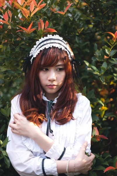 Charming Asian girl in japanese maid costume — Stock Photo, Image