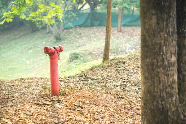 Red hidran api — Stok Foto