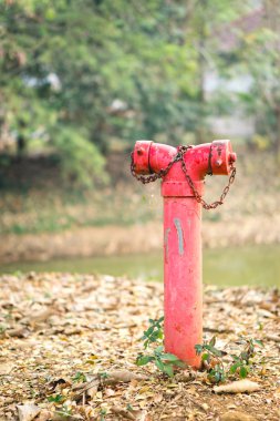 Kırmızı yangın musluğu