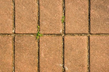 Kırmızı tuğla arkaplan