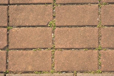 Kırmızı tuğla arkaplan