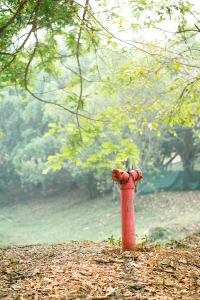 Červený požární hydrant — Stock fotografie