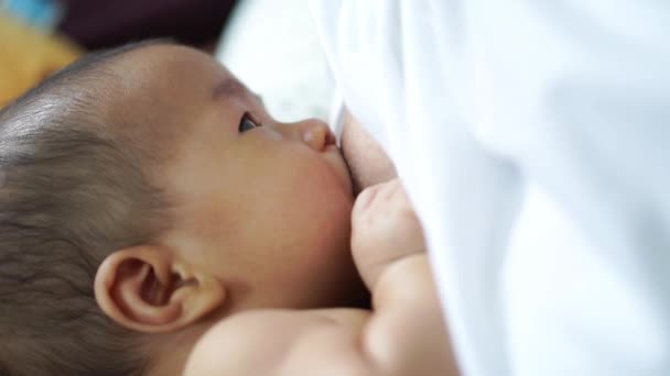 Asiático bebé Lactancia materna — Vídeo de stock