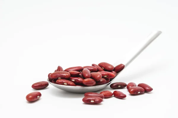 Red bean seed — Stock Photo, Image