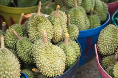 Durian pazarında