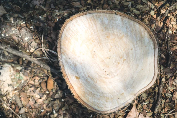 Tabla de corte de madera — Foto de Stock