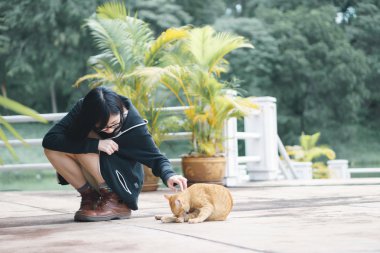 Asyalı kız kedi ile oynarken