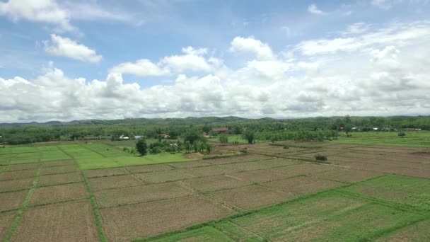 시골에서 푸른 하늘에의 공중 탄 — 비디오