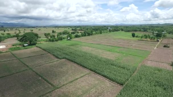 Tiro aéreo de céu azul no campo — Vídeo de Stock