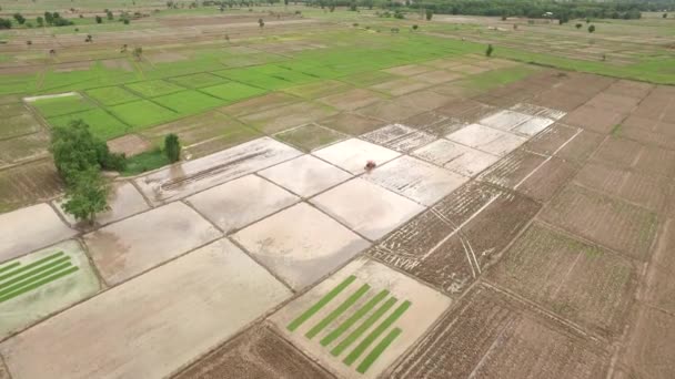 Aérien du tracteur sur le champ de récolte 