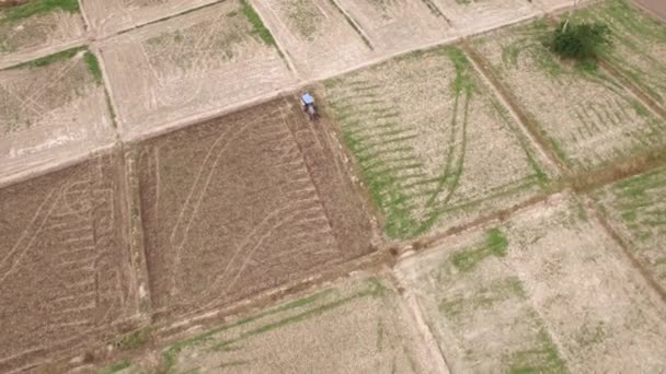 収穫現場におけるトラクターの空中 — ストック動画