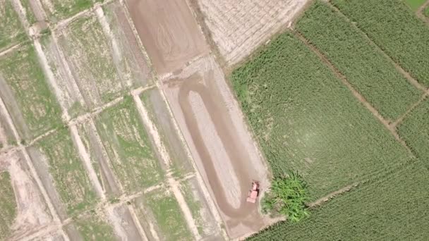 Aérea del tractor en el campo de cosecha — Vídeos de Stock