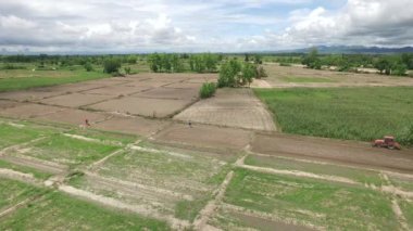 Hasat alanında traktör havası