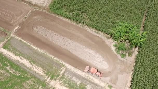 Série traktoru na sklizňovém poli — Stock video