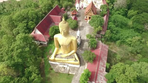 Fotografia aérea da grande estátua de Buda no templo público tailandês — Vídeo de Stock