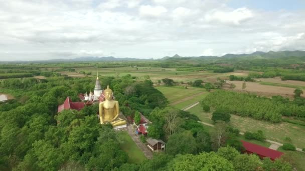 Antenn skott av big Buddhastatyn på thailändska offentliga temple — Stockvideo