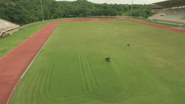 Aerial shot of mowing grass — Stock Video