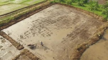 Taylandlı çiftçi yürüme traktör kullanma