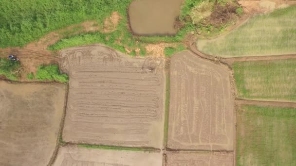 Agricultor tailandês usando trator ambulante — Vídeo de Stock