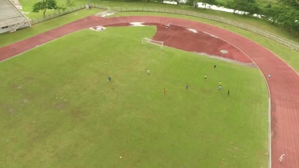 Jugador de rugby asiático practicando — Vídeo de stock