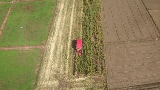 옥수수 수확을 결합합니다 — 비디오