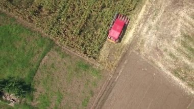 hasat Mısır birleştirmek