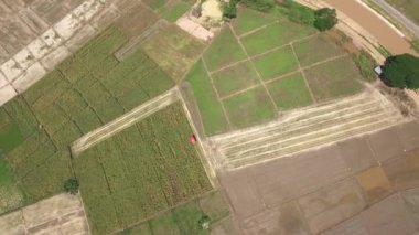 hasat Mısır birleştirmek