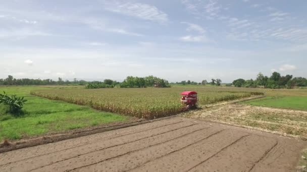 Combiner la récolte du maïs 