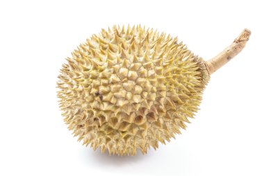 durian beyaz arkaplanda