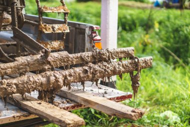 Taylandlı çiftçi yük traktörü