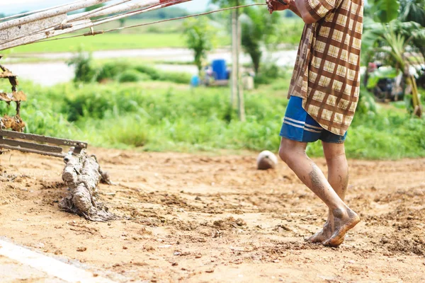 Thai farmer zatížení traktoru — Stock fotografie